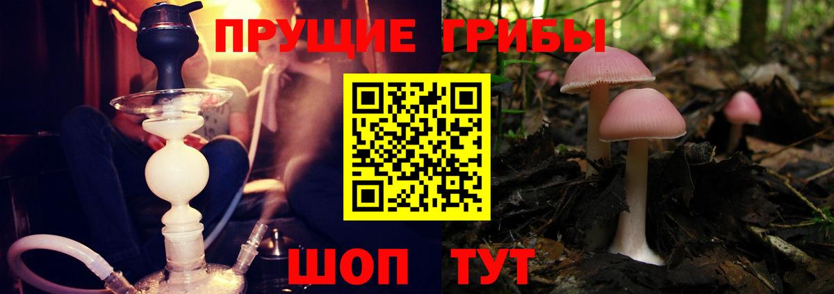 Рыбинск  Галлюциногенные грибы прущие грибы  Галлюциногенные грибы Psilocybe  Вход с VPN 
